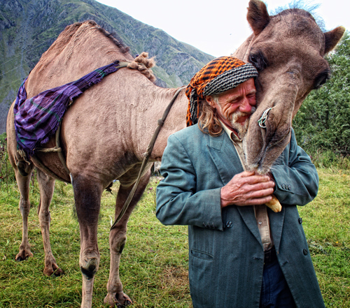 კადრზე შეჩერებული სისხლიანი ლომისობა და დედა სიდონიას გზა მონასტრისკენ Rating